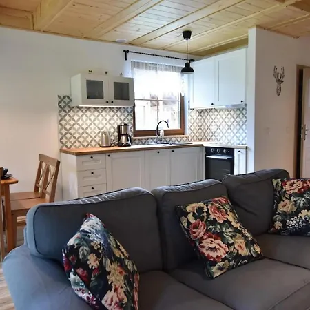 Na Kaszubach 27-1 - Ostoja Bukowo 別荘 Borowy Młyn